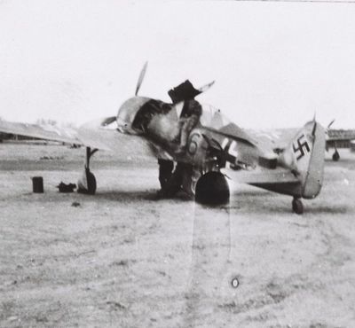 Fw 190 beim JG 51 Ende 1943 „Schwarze 6“ / Fw 190 at JG 51 end 1943 „Black 6